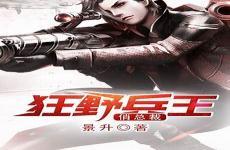 至尊兵王俏总裁叶枫